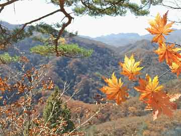 杜尔伯特蒙古族自治县住房和城乡建设局最新招聘概述及公告发布通知