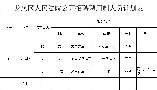 龙凤区司法局招聘信息及相关内容深度解析