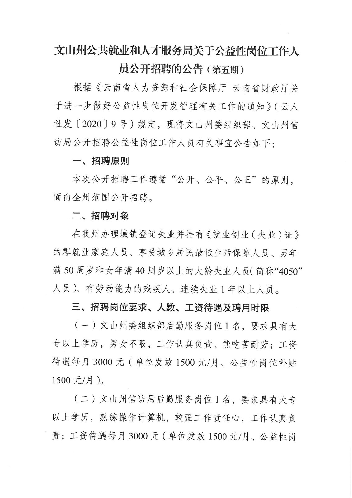 文山招聘网最新招聘动态深度剖析