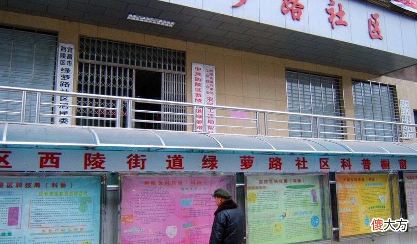 广场路社区居委会全新招聘信息与启示发布